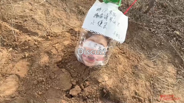 203844uyse3dyfelp2j2na.jpg
